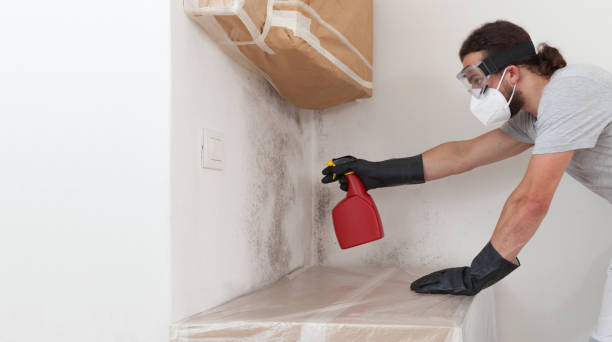 Professional Bathroom Mold Removal technician working in Savage, MD